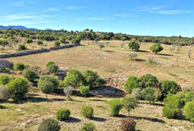 Manacor 22052&nbsp;m²