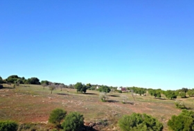 Manacor 22052&nbsp;m²