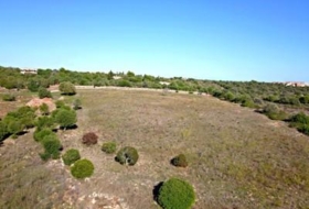 Manacor 22052&nbsp;m²