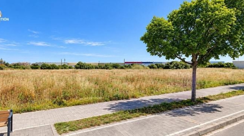 Кастельон - Винарос - 8298 м²