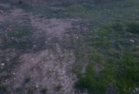 Cehegín 130000&nbsp;m²