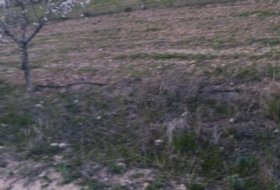 Cehegín 130000&nbsp;m²