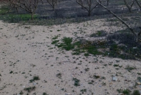 Cehegín 130000&nbsp;m²