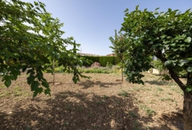 Monachil 1077&nbsp;m²