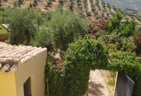 Fuensanta de Martos 5500&nbsp;m² 