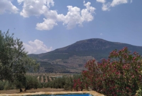 Fuensanta de Martos 5500&nbsp;m² 