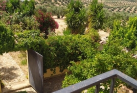 Fuensanta de Martos 5500&nbsp;m² 