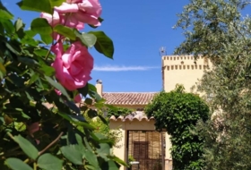 Fuensanta de Martos 5500&nbsp;m² 