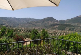 Fuensanta de Martos 5500&nbsp;m² 