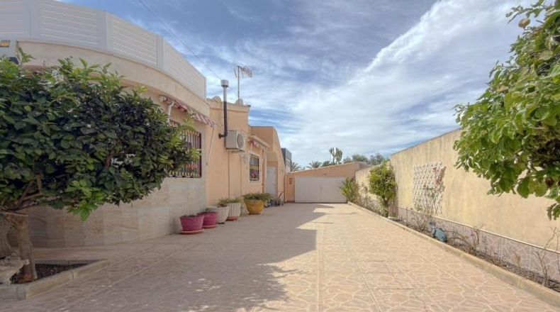 Alicante - Torrevieja - 325 m²