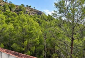 Almiserà 664&nbsp;m²