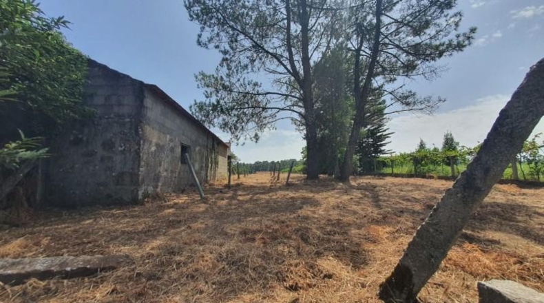Понтеведра - Виланова-де-Ароуса - 3700 м²