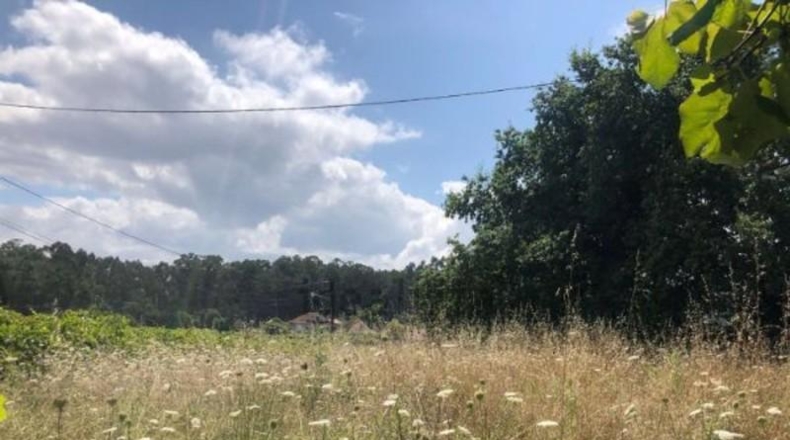 Понтеведра - Виланова-де-Ароуса - 3700 м²