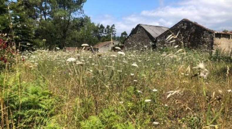 Понтеведра - Виланова-де-Ароуса - 3700 м²