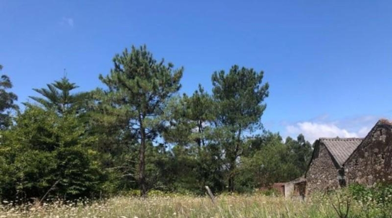 Понтеведра - Виланова-де-Ароуса - 3700 м²