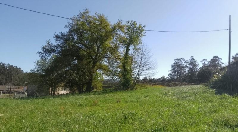 Понтеведра - Виланова-де-Ароуса - 3700 м²