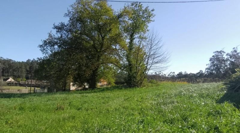 Понтеведра - Виланова-де-Ароуса - 3700 м²