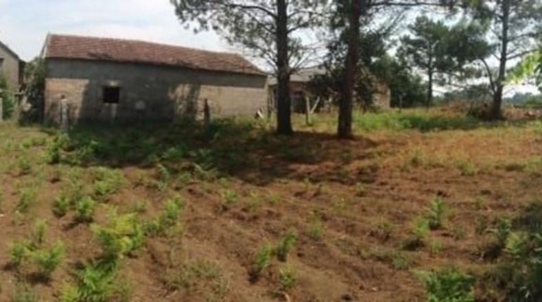 Понтеведра - Виланова-де-Ароуса - 3700 м²