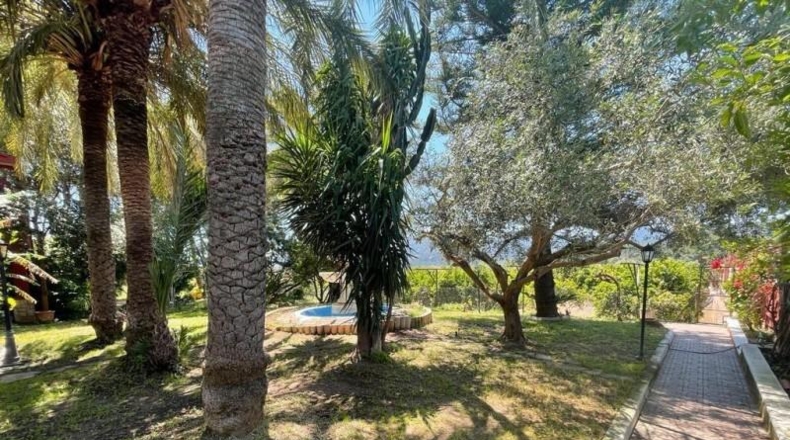 València - Albalat dels Tarongers - 5000 m²