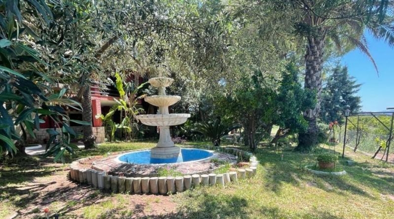 València - Albalat dels Tarongers - 5000 m²
