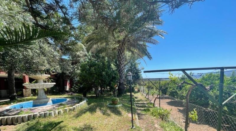 València - Albalat dels Tarongers - 5000 m²