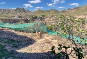 Huércal de Almería 33014&nbsp;m²