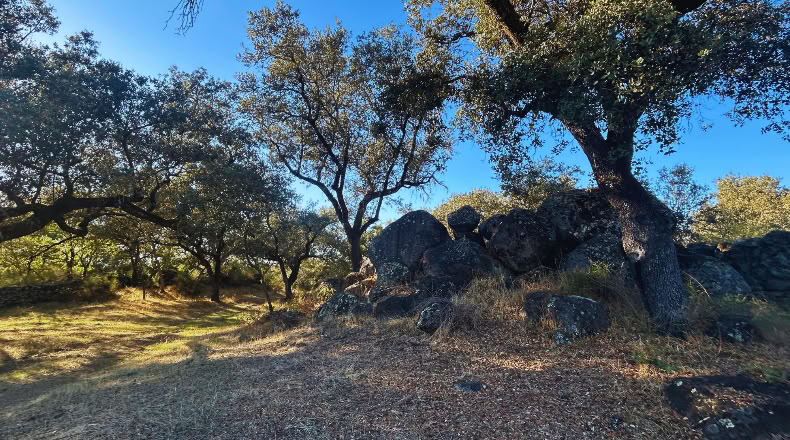 Huelva - Santa Olalla del Cala - 57679 m²