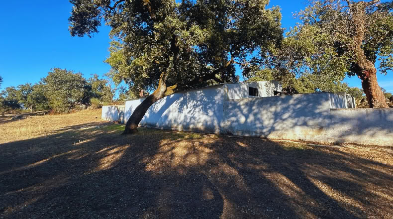 Huelva - Santa Olalla del Cala - 57679 m²
