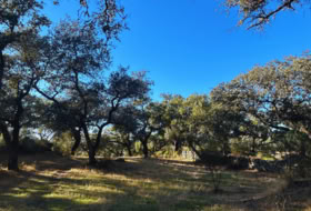Santa Olalla del Cala 57679&nbsp;m²