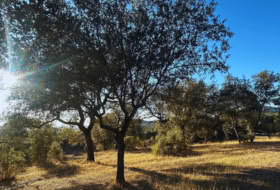 Santa Olalla del Cala 57679&nbsp;m²