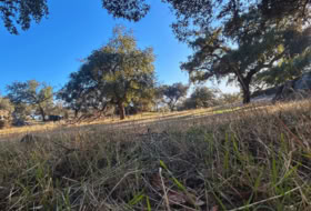 Santa Olalla del Cala 57679&nbsp;m²