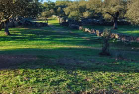 Santa Olalla del Cala 57679&nbsp;m²