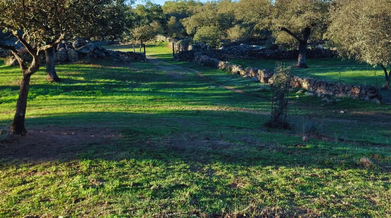 Huelva - Santa Olalla del Cala - 57679 m²