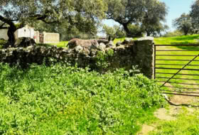Santa Olalla del Cala 57679&nbsp;m²