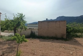Foto 13