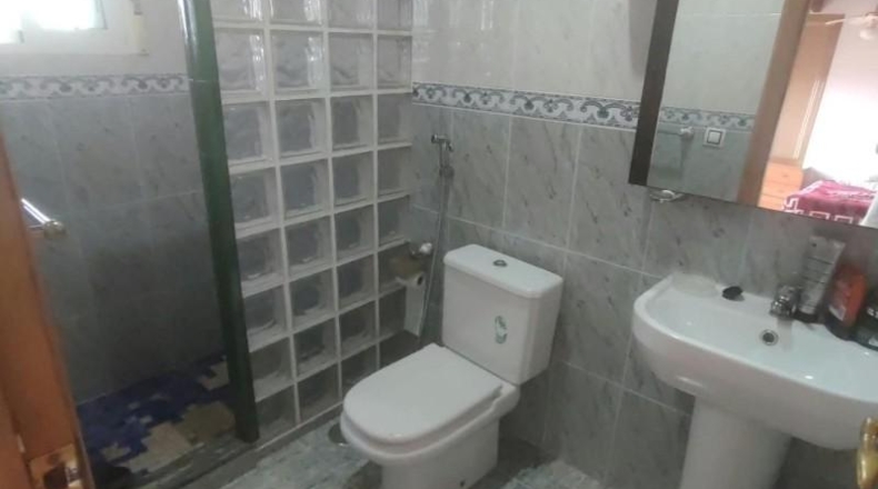 Alicante - Albatera - 1336 m²