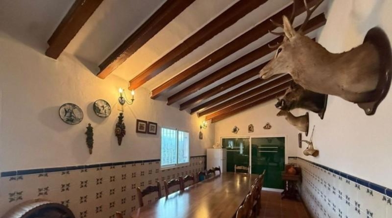 Alicante - Elche - 550 m²