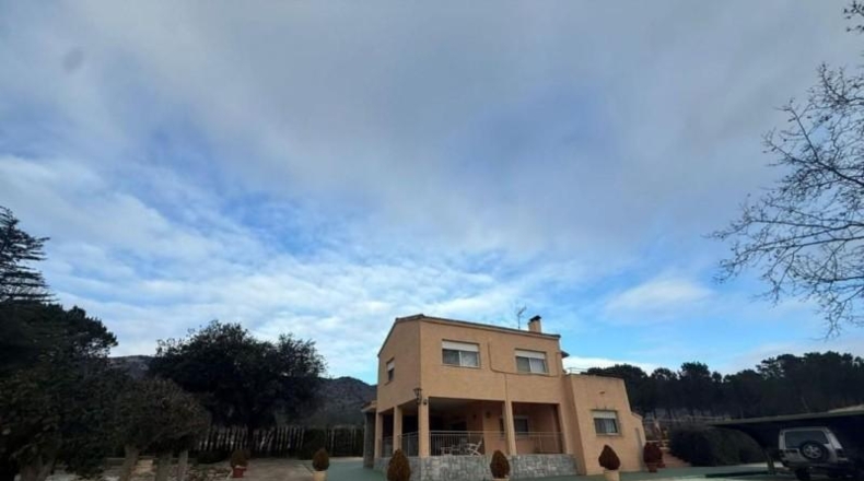 Alicante - Elche - 550 m²