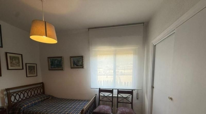 Alicante - Elche - 550 m²