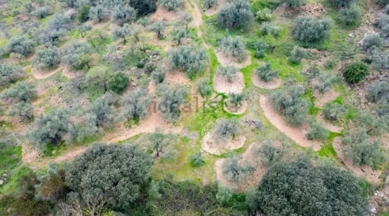 Malaga - Riogordo - 10000 m²
