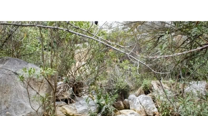 Malaga - Riogordo - 10000 m²