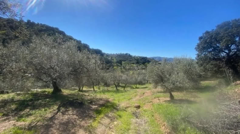 Malaga - Riogordo - 10000 m²