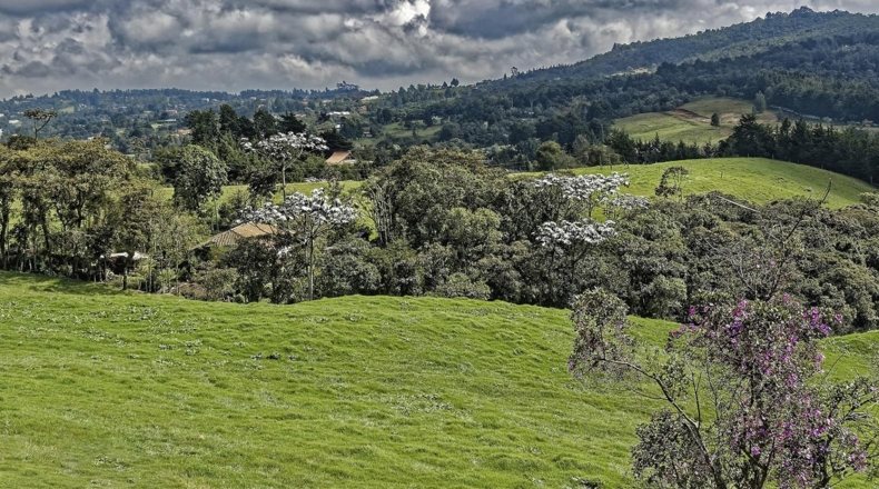 Invertir en terreno cerca del mar