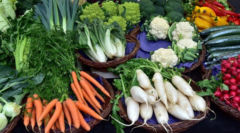 Agroecología en España