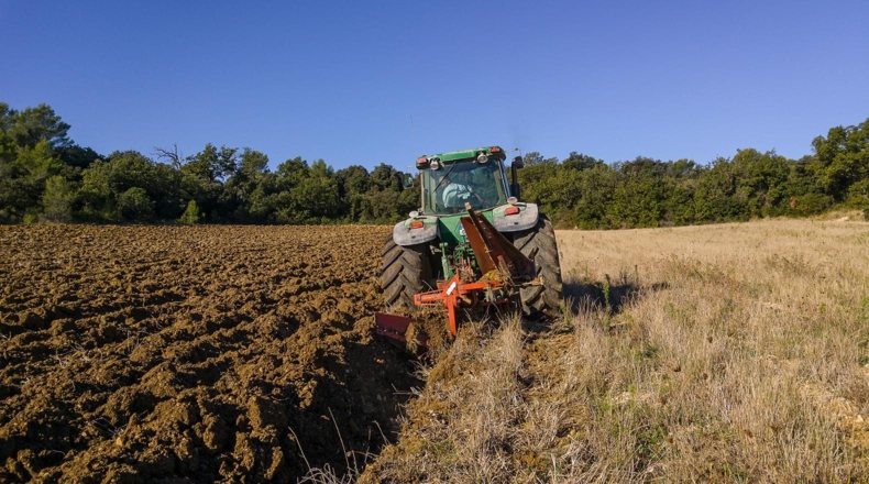 Profesional trabajando en la explotación agrícola