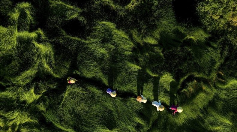 Imagen aérea de un terreno rústico de explotación agrícola, donde hay cinco temporeros