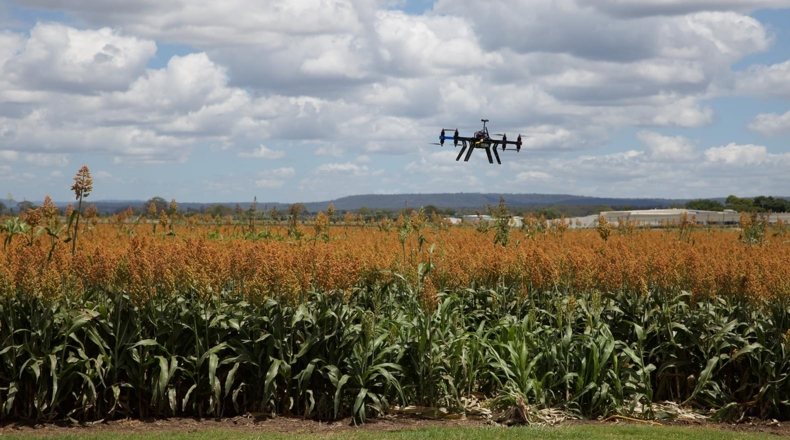 Jóvenes agricultores y nueva tecnología