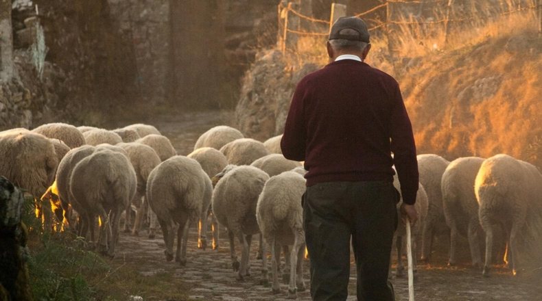 Jóvenes agricultores, necesarios para un sector envejecido