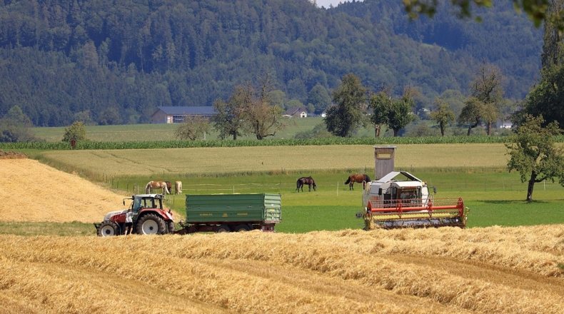 Ayudas y subvenciones de agricultura y ganadería