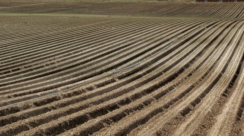 imagen de cómo nivelar un terreno rústico para explotación agrícola